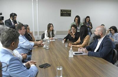 Imagem da notícia Mara Caseiro destaca importância de novos programas para mulheres em MS durante reunião na Assembleia Legislativa